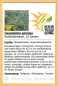 Preview: Caesalpinia spinosa, Rothülsenbaum, 10 Samen